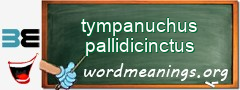 WordMeaning blackboard for tympanuchus pallidicinctus